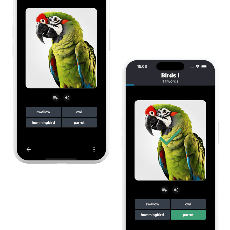 App screenshots presenting Birds topic with Parrot as a word