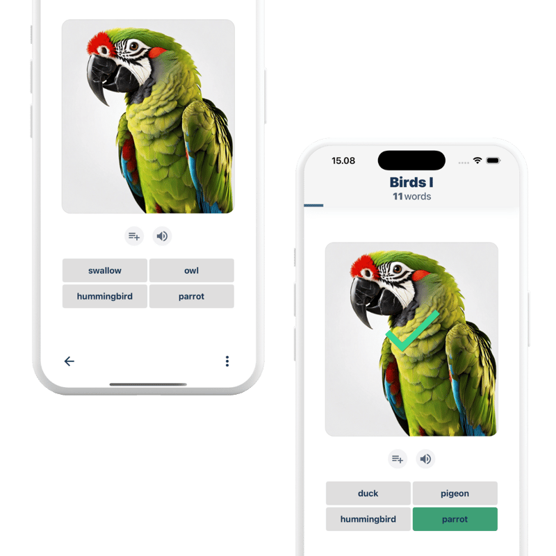 App screenshots presenting Birds topic with Parrot as a word